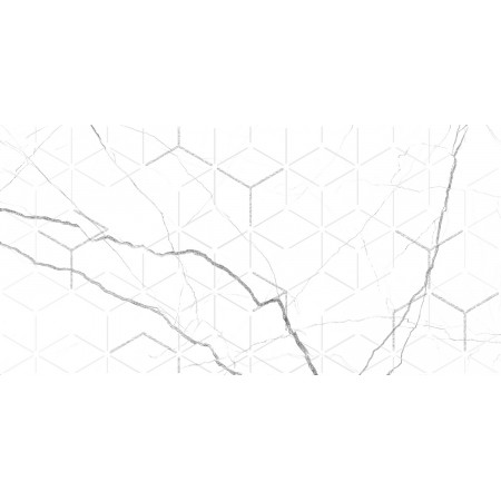 GT124VG Декор кер. Siluet GT Бел. 50*25 _ 1 \7