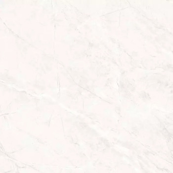 Керамогранит TP66M17 Пантир матовый 60x60