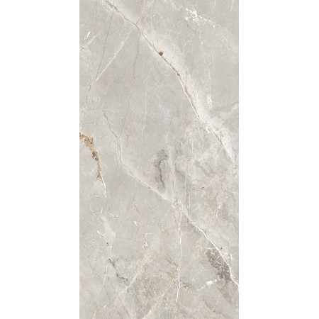 GT1206012101SPR Керамогранит Tulip_GT Сер. 60x120 _ 1\46,08