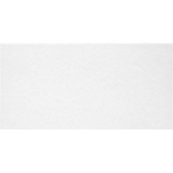 Плитка TWU09MNR020 Monocolor 249x500x8.5