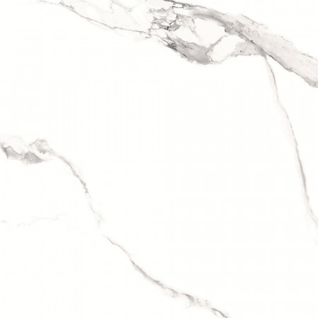GT606012003SPR Керамогранит Alfanzo_GT Бел. 60x60 _ 1\54,72