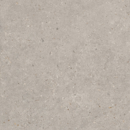 Керамогранит SG653720R Риккарди серый светлый матовый обрезной 60x60