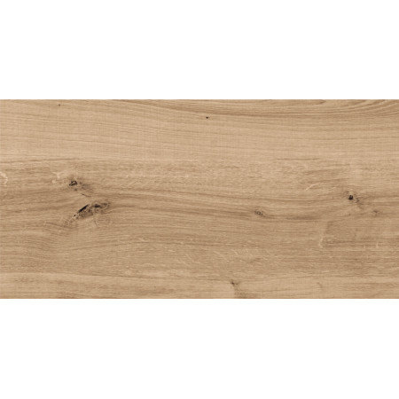 Керамогранит C-WS4O152D Woodhouse темно-бежевый 29,7х59,8