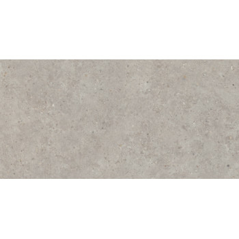 Керамогранит SG519920R Риккарди серый светлый матовый обрезной 60х119,5