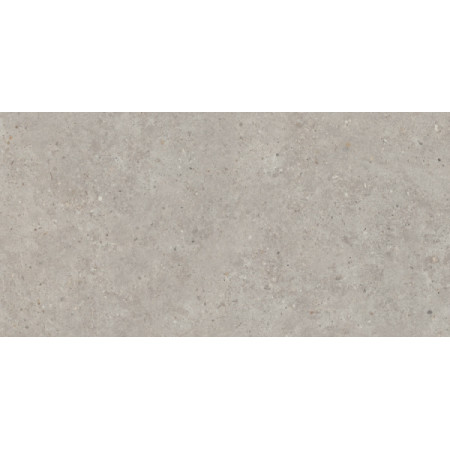 Керамогранит SG519920R Риккарди серый светлый матовый обрезной 60х119,5