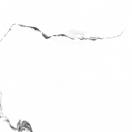 Керамогранит PR129 Videl Bianco polished 600x600x9