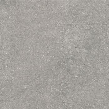 Керамогранит K945785R0001VTE0 Newcon Серебристо-серый 60х60