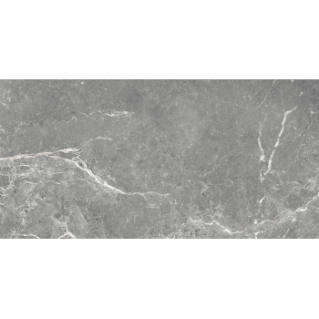 GT99VG Плитка облиц. Capella GT Сер. 50*25 _ 1 \74,25