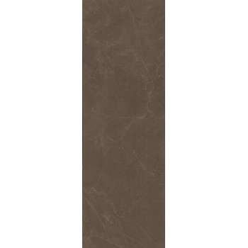 Плитка 12090R N Низида коричневый обрезной 25х75