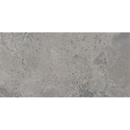 Керамогранит PF60012912 Pietra Viva Grey Nat Ret 60x120