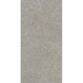 Керамогранит DD590600R Про Лаймстоун АТ серый натуральный обрезной R10 119,5х238,5