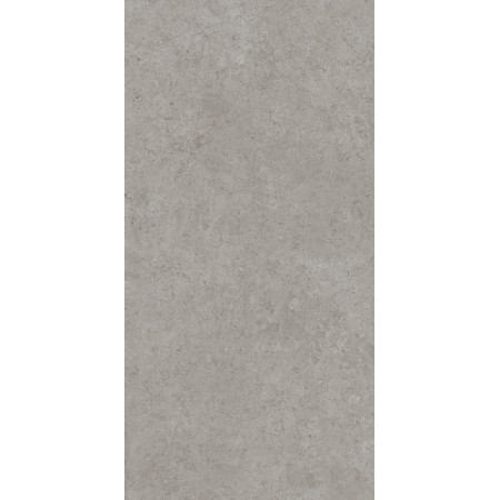 Керамогранит DD590600R Про Лаймстоун АТ серый натуральный обрезной R10 119,5х238,5