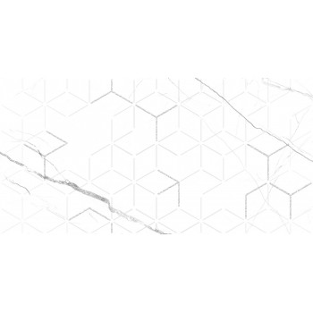 GT124VG Декор кер. Siluet GT Бел. 50*25 _ 1 \7