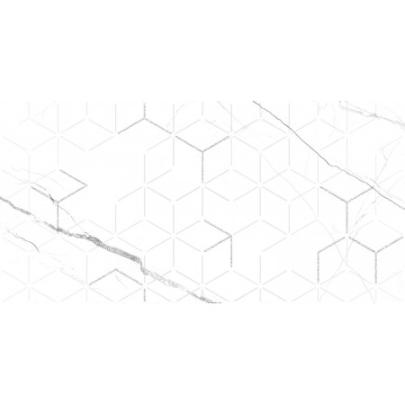 GT124VG Декор кер. Siluet GT Бел. 50*25 _ 1 \7