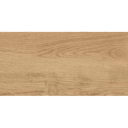 GT220VG Керамогранит Florida_GT Беж. 30x60  1\58,32