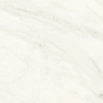 Керамогранит Premiere Rect 80x80