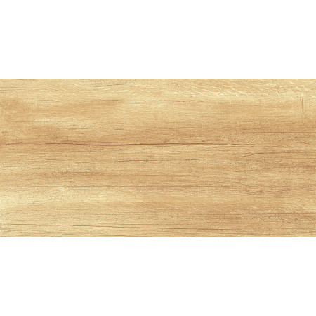 Плитка WT9OAS31 Paradise Wood 250*500*9