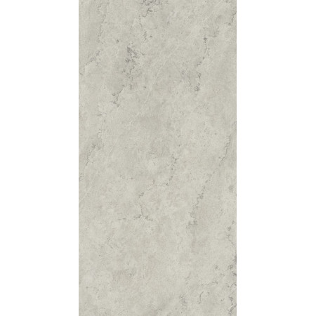 Керамогранит 610010002343 Metropolis Absolut Silver Nat Rett 80x160