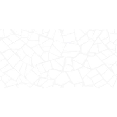 Плитка WT9SML00 Smalta White 249x500