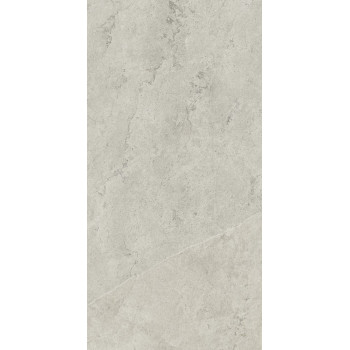 Керамогранит 610010002628 Metropolis Absolut Silver Nat Rett 60x120