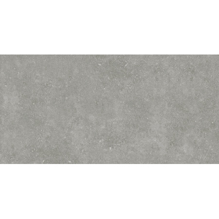 Керамогранит Granite Gloria Gray / Граните Глория Серый ASR 120x60