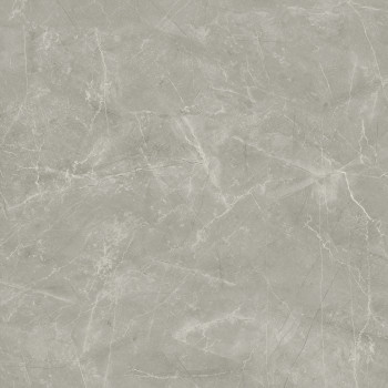 Керамогранит Wolf Grey 80х80