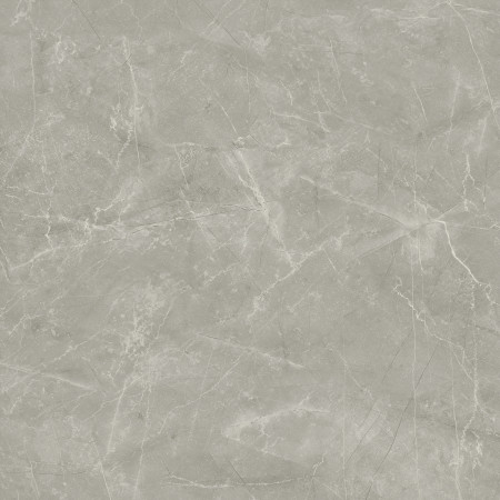 Керамогранит Wolf Grey 80х80