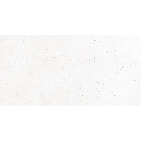 Керамогранит G-40 MR 30х60