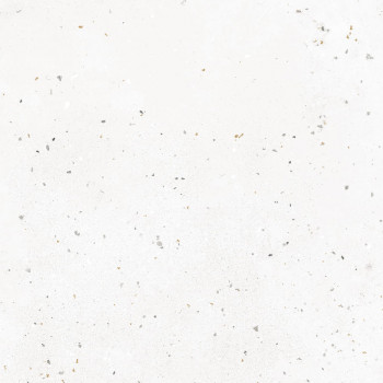 Керамогранит G-40 MR 60х60