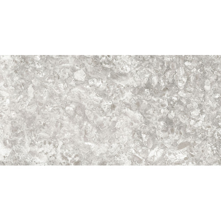 Керамогранит Lunar Grey Light/Лунар Светло-серый MR 120x60