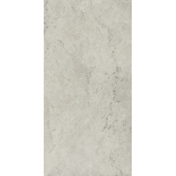 Керамогранит 610010002343 Metropolis Absolut Silver Nat Rett 80x160