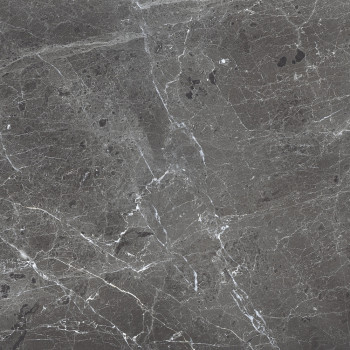 Керамогранит PR108 Ardesia Grafito Polished 600x600