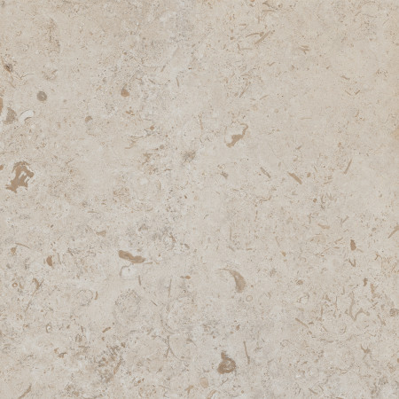 Керамогранит DD641120R Про Лаймстоун бежевый темный натуральный обрезной 60х60