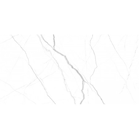 GT121VG Плитка облиц. Siluet GT Бел. 50*25 _ 1 \74,25