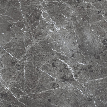 Керамогранит PR108 Ardesia Grafito Polished 600x600