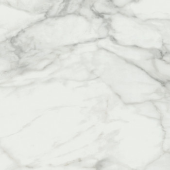 Керамогранит Invictus Pulido 80*80