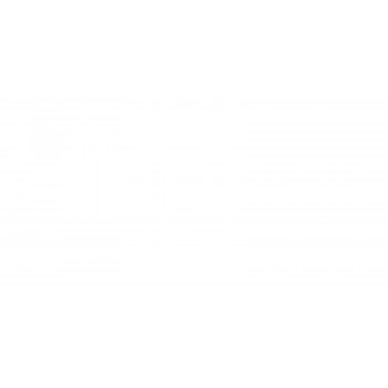 Плитка WT9PAR00 Paradise White 250*500*9