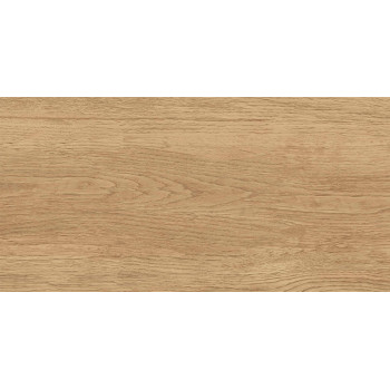 GT220VG Керамогранит Florida_GT Беж. 30x60  1\58,32