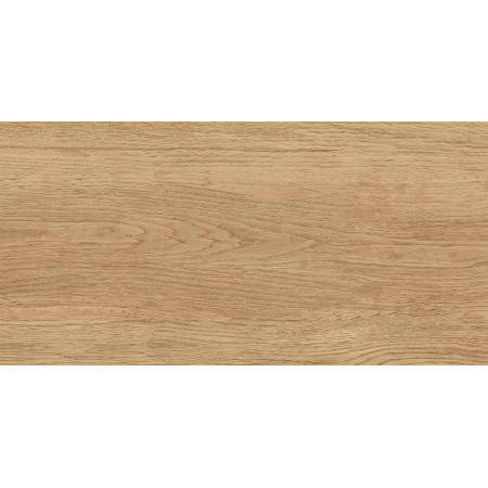 GT220VG Керамогранит Florida_GT Беж. 30x60  1\58,32