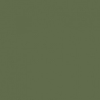 Керамогранит City Style зеленый G-116/P 60x60 полированный