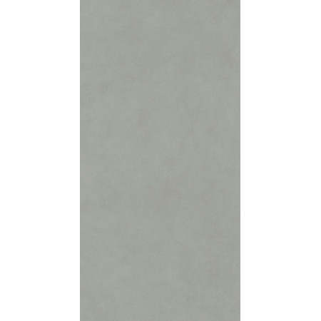 Керамогранит DD590900R Про Чементо серый матовый обрезной 119,5x238,5