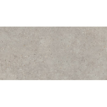 Керамогранит SG519920R Риккарди серый светлый матовый обрезной 60х119,5