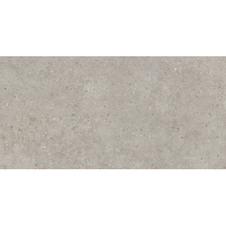 Керамогранит SG519920R Риккарди серый светлый матовый обрезной 60х119,5