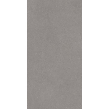 Керамогранит Active Grey 120x240
