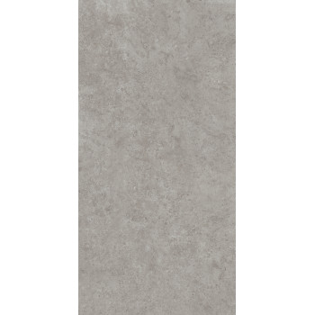 Керамогранит DD590600R Про Лаймстоун АТ серый натуральный обрезной R10 119,5х238,5