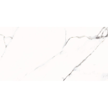 Керамогранит 15886 Lorenzo белый 29,7x59,8