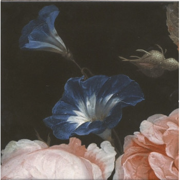 Плитка MLD/A107/5009 Парк Роз 20x20