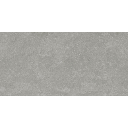 Керамогранит Granite Gloria Gray / Граните Глория Серый ASR 120x60