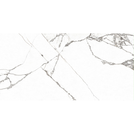 6260-0246-1031 Керамогранит Corona_GT Бел. 30x60 _ 1\46,08
