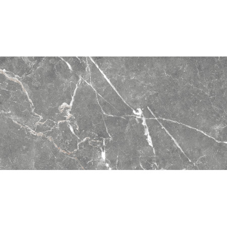 GT99VG Плитка облиц. Capella GT Сер. 50*25 _ 1 \74,25